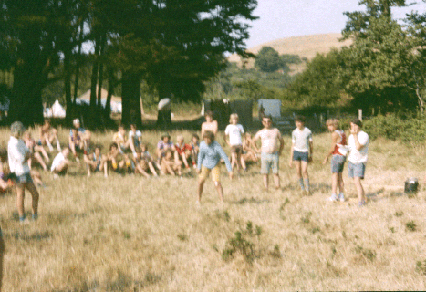 wp51fbc02f.gif