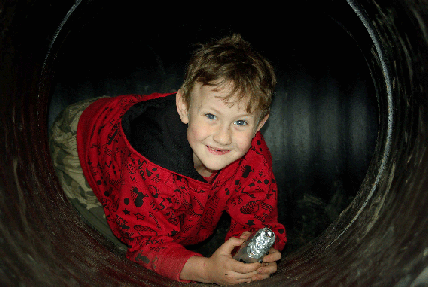 wp55d486e4.gif