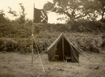 wp8bed8a5f.gif
